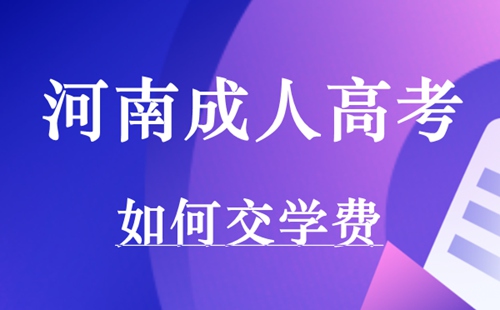 河南成人高考如何交学费