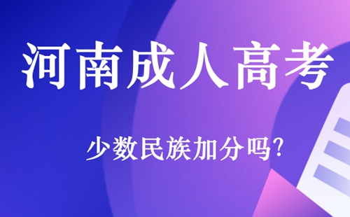 河南成人高考少数民族加分吗